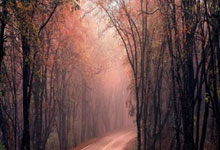 蓝鲸体育：[NBA]克内克特砍下37分 主场击败爵士.