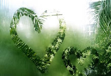 蓝鲸体育:德甲-穆西亚拉世界波 拜仁1-0圣保利豪取五连胜.